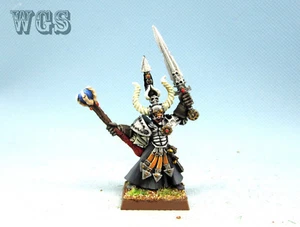 Warhammer Fantasy WGS Painted Warriors of Chaos Chaos Sorceror WC034 - Picture 1 of 6