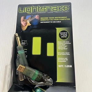 Lightsnake Instrument to USB Cable 10Ft/3.05 Meter - Picture 1 of 7