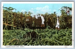 1920 CARGA CAÑA DE AZÚCAR*PAPEL HONOLULU CO*TERRITORIO HAWAIANO*POSTAL - Imagen 1 de 2