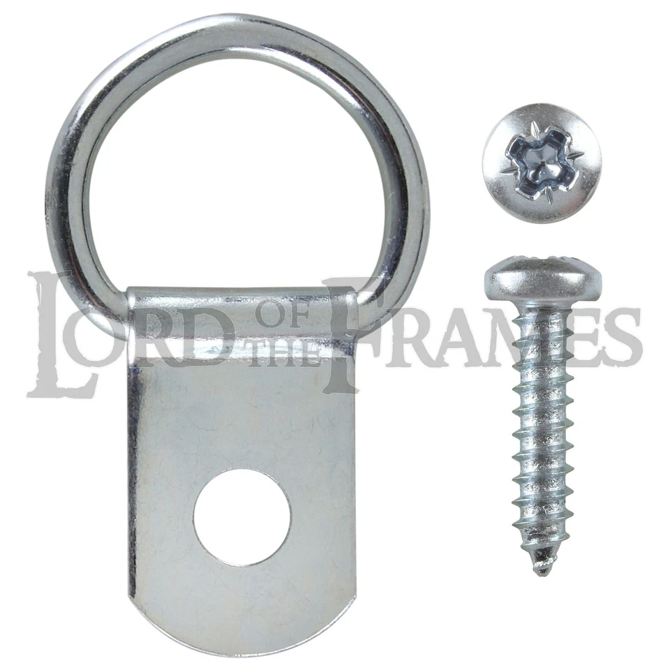 LORD OF THE FRAMES Anelli a D Singoli Standard - Viti Opzionali Cornice Cornice Portafoto Appendere Anelli a D