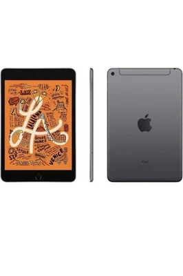 Apple iPad Mini 5 64GB Wi-Fi + Cellular Unlocked  Grey EXCELLENT 💯% Battery 🔋. - Image 1 of 2