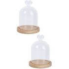  2 PCS Mini Cupcake Holder Glass Cloche Wooden Display Stand Container