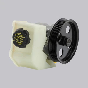Power Steering Pump For Ford Falcon BA BF FG Territory 6Cyl XR6 Turbo LPG 4.0L - Picture 1 of 12