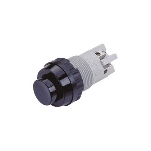 Rafi 101102011.0104 Pushbutton Raised 1x Off/(On) On/(off) 2A 250VAC Black - Picture 1 of 1