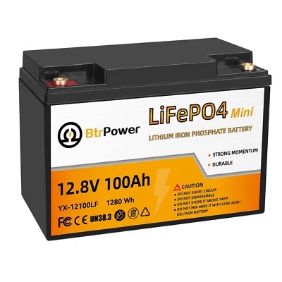 BTRPOWER 12V 100Ah Mini LiFePO4 Battery Lithium Iron Phosphate for RV Marine Solar System