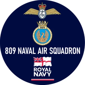 Royal Navy FLEET AIR ARM Badges & gifts 809 NAVAL AIR SQUADRON - Picture 1 of 14