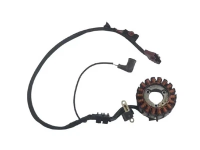 Stator Magnéte Générateur Piaggio Beverly 250 IE 2006 2007 2008 - Photo 1/4