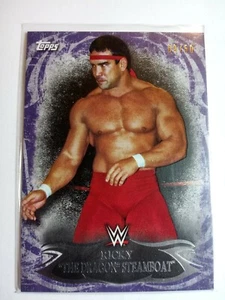 WWE Ricky Steamboat #34 2015 Topps Undisputed Purple Parallel Base Card 9 of 50 - Picture 1 of 1