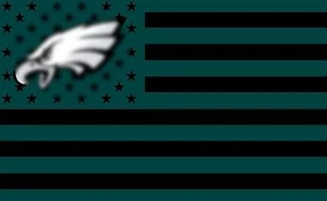 NFL Philadelphia Eagles Team Sports Stars and Stripes Football Black Flag 3X5 FT - Picture 1 of 1