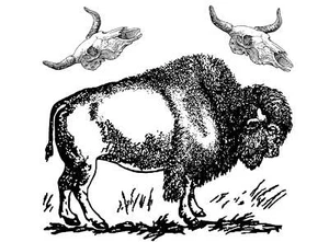 Bison Skulls 6 pcs Black Fused Glass Decals - Picture 1 of 1