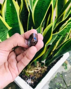 Ring Fashion Natural Coconut Shell Ring Men Women Jewelry Gift Handmade Rings - Picture 1 of 4