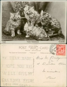 Taken Possession Kitten Cats Wildt & Kray 292 Real Photo RP 1926 Cancel - Picture 1 of 2