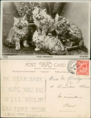 Taken Possession Kitten Cats Wildt & Kray 292 Real Photo RP 1926 Cancel - Image 1 of 2
