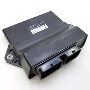 Arctic Cat * ECU ASSEMBLY 3007-672 * 2009 Z1 TZ1 1100 N/A Bearcat - Picture 1 of 4
