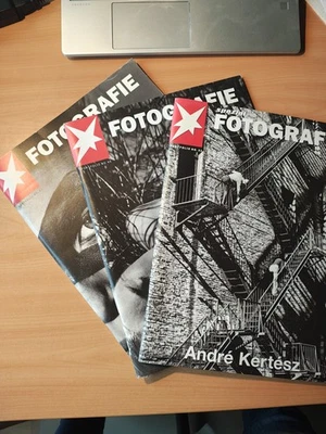 Stern Fotografie Nr 31, 46, 47 Andre Kertesz, Andreas Feininger, Peter Lindbergh - Bild 1 von 4