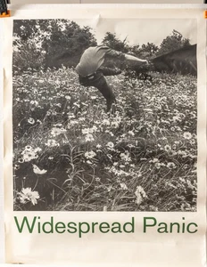 Widespread Panic Promotional Poster 18x24 1991 - Picture 1 of 4