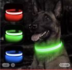 Colar With Lights For Dogs Blue