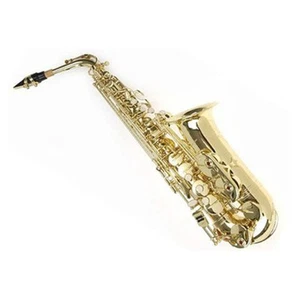 Saxofón alto Paititi aprobado por banda con estuche versátil + diez (10) lengüetas ¡LIMITADO! - Imagen 1 de 6