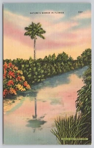 Nature's Mirror Florida FL Palm Tree Reflecting Pool Postcard - Picture 1 of 2