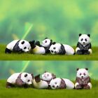 Funny Panda Terrarium Garden Micro Landscape Ornament Figurine Miniature