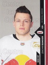 2016-17 German DEL Basic #441 Joachim Ramoser