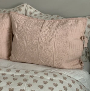 NWT Pottery Barn Hanna Rose Pink Linen Blend Standard Shams - Picture 1 of 24