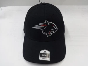 Nuevo con etiquetas Dead Stock NCAA Clark Atlanta Panthers OSFA Tapa Ajustable Gorra Sombrero # 2 - Imagen 1 de 10