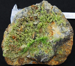 2LB MUSEUM SUPER LONG THICK Pyromorphite crystal,Daoping,Guangxi,China - Picture 1 of 8