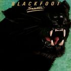 Blackfoot - Tomcattin [Cd]