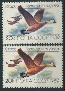 10299 Russia USSR Fauna Animal Bird Duck MNH ERROR Colour Variety - Picture 1 of 1