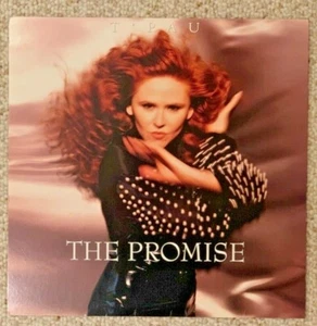 T Pau The Promise Limited Edition 1991 Promo-Poster - Bild 1 von 2
