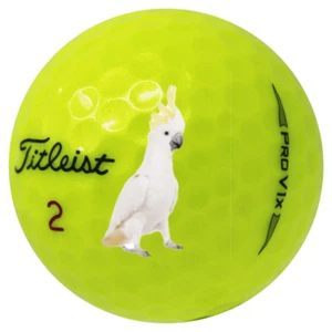 24 Titleist Pro V1X Yellow 5A AAAAA Washed Used Golf Balls Titleist Golf Balls - Picture 1 of 1