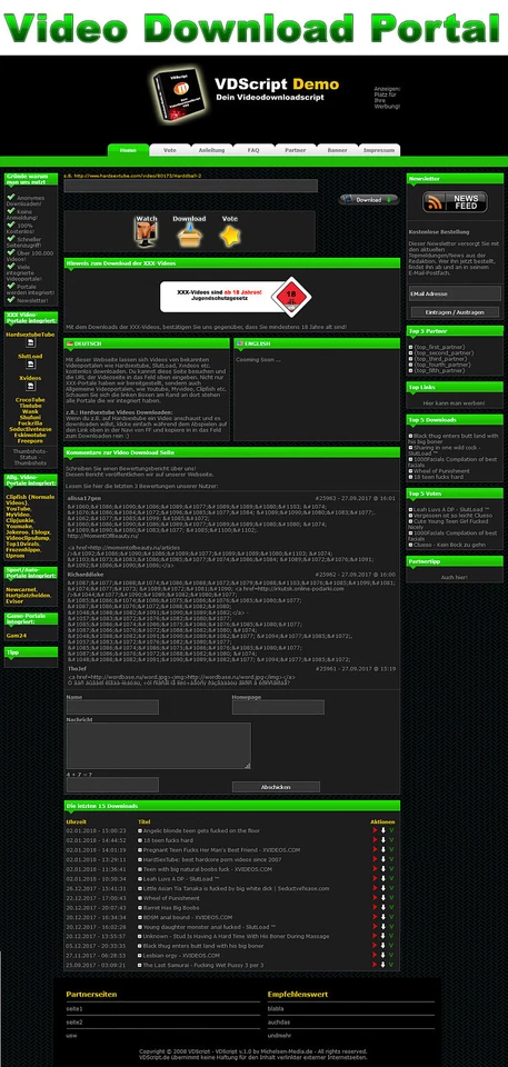 Video Download Portal - PHP-Script - Bild 1 von 1