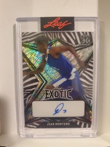 2022-23 Leaf Exotic Jean Montero Auto #/8 Rookie Elephant Prismatic SSP MINT