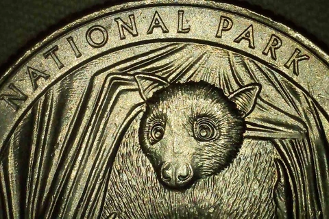2020 P Quarter Double Die Reverse Multiple Error American Samoa Bat Nat Park Cover