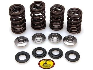 02-08 Honda CRF450R CRF 450R Kibblewhite Racing Titanium Valve Spring Kit 0.440" - Picture 1 of 10