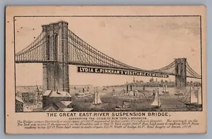 1800s Victorian Trade Card Lydia E. Pinkham's Vegetable Compund QUACK MED 0193 - Picture 1 of 2