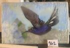 Encaustic Hummingbird Artwork #362