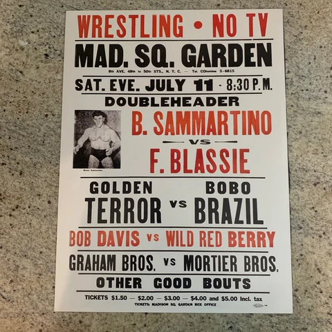 Pro Wrestling Poster Print Bruno Sammartino Fred Blassie MSG Wrestler 12” x 16” Cover