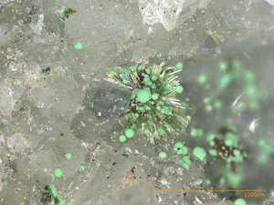 Zemannite Eurekadumpit - North Star mine, UT, USA - Picture 1 of 3
