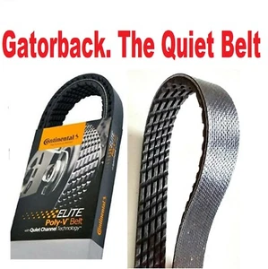 NEW Serpentine Belt Poly-V The Quiet Belt Gatorback CONTINENTAL ELITE 4050755 - Bild 1 von 6