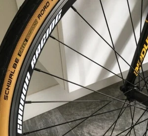 MOUNTAIN BIKE wheel STICKERS HEX RACING/YOUR NAME DECALS COLRS 10MM X 210MM X8 A - Picture 1 of 6
