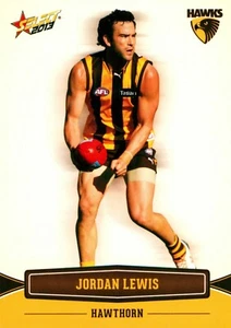 2013 HAWTHORN HAWKS AFL Premiers Card JORDAN LEWIS Champions - Picture 1 of 2