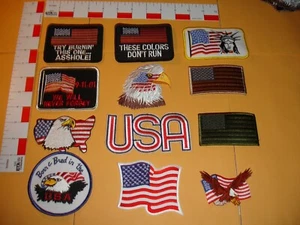 EE. UU. Celebrate EE. UU. Remember 9-11 Parche Colección 12 in Set - Imagen 1 de 12