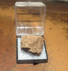 18 Gm GOLD BASIN  METEORITE  MUSEUM GRADE ARIZONA  CASE INCLUDED JAL - Picture 1 of 4