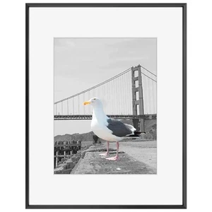 Black 16x20 Metal Picture Frame, 11x14 Mat, Real Glass, 1 Pack Aluminum - Picture 1 of 9