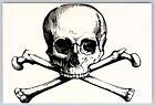Postcard Human Skull Graphic Art Skull and Crossbones Poison Symbol Morbid
