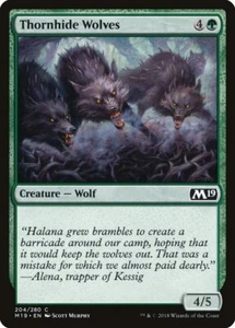 Thornhide Wolves (204) Core Set 2019 M19 MTG Magic - Picture 1 of 1