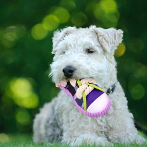Pet Puppy Chewing Toy Small Puppy Teething Plaything Pet Biting Toy Cartoon - Picture 1 of 12