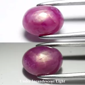 π 2.00ct Oval Cabochon Purplish Red 6 Ray Star Ruby - Heated, Africa Gem - Picture 1 of 11